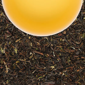 Antu Valley Classic Spring Black Tea