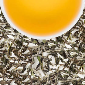 Darjeeling Special Spring White Tea