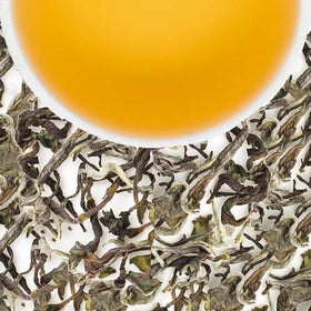 Glenburn Special Spring Oolong Tea